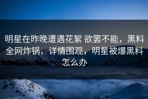 明星在昨晚遭遇花絮 欲罢不能，黑料全网炸锅，详情围观，明星被爆黑料怎么办