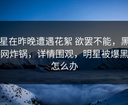 明星在昨晚遭遇花絮 欲罢不能，黑料全网炸锅，详情围观，明星被爆黑料怎么办