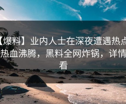 【爆料】业内人士在深夜遭遇热点事件热血沸腾，黑料全网炸锅，详情速看