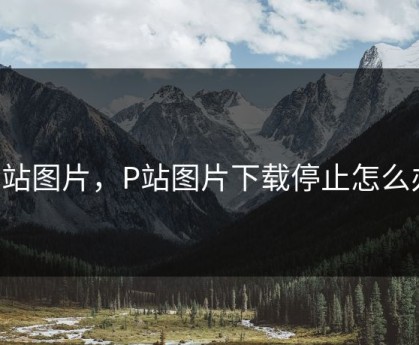 p站图片，P站图片下载停止怎么办