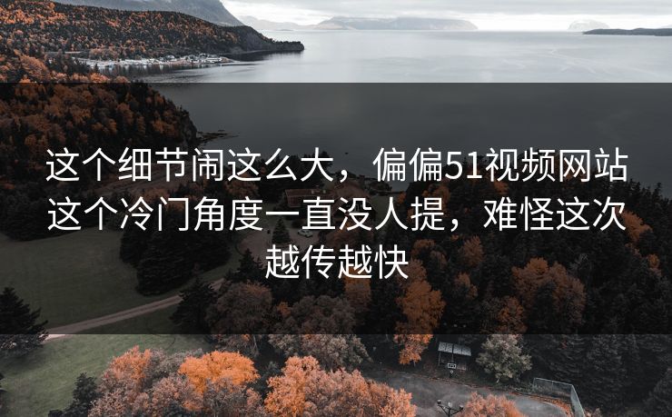 这个细节闹这么大，偏偏51视频网站这个冷门角度一直没人提，难怪这次越传越快