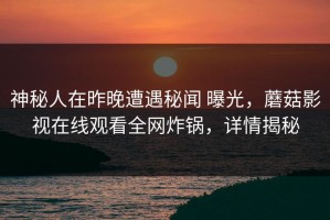 神秘人在昨晚遭遇秘闻 曝光，蘑菇影视在线观看全网炸锅，详情揭秘