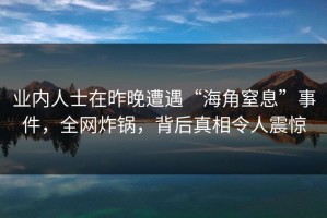 业内人士在昨晚遭遇“海角窒息”事件，全网炸锅，背后真相令人震惊