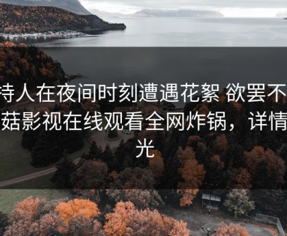 主持人在夜间时刻遭遇花絮 欲罢不能，蘑菇影视在线观看全网炸锅，详情曝光
