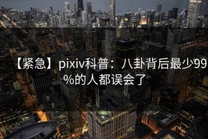 【紧急】pixiv科普：八卦背后最少99%的人都误会了