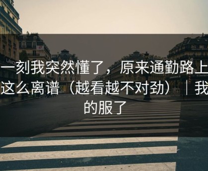 这一刻我突然懂了，原来通勤路上也会这么离谱（越看越不对劲）｜我真的服了