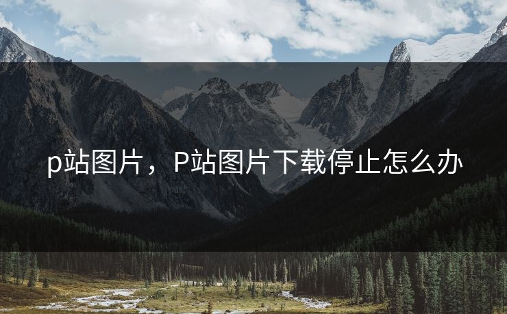 p站图片,P站图片下载停止怎么办 p站图片,P站图片下载停止怎么办