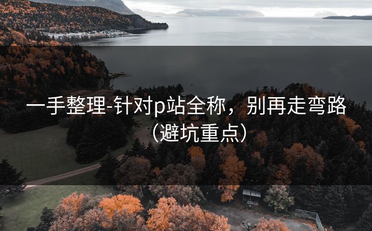 一手整理-针对p站全称,别再走弯路(避坑重点) 一手整理-针对p站全称,别再走弯路(避坑重点)