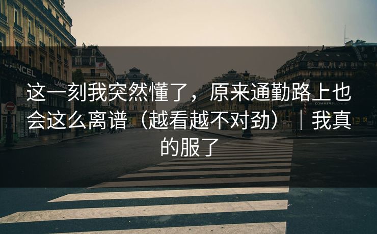 这一刻我突然懂了,原来通勤路上也会这么离谱(越看越不对劲)|我真的服了 这一刻我突然懂了,原来通勤路上也会这么离谱(越看越不对劲)|我真的服了